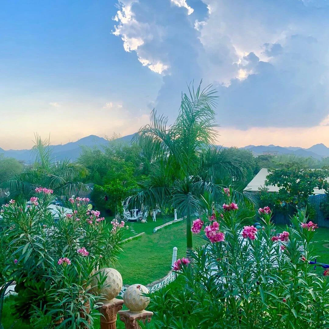 استراحة شمسة