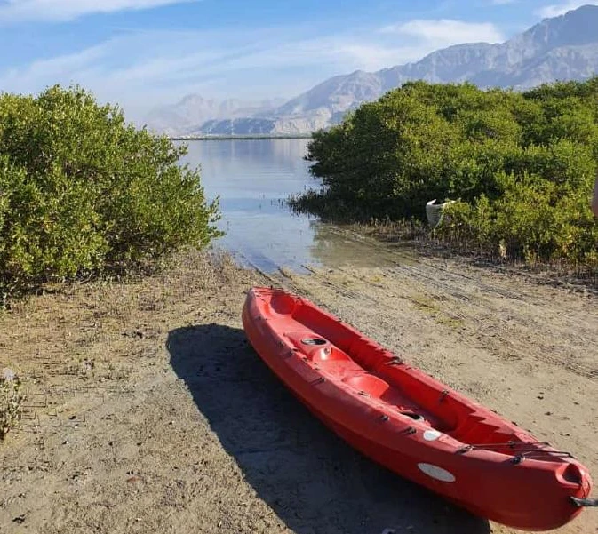 شاليه اللزيمه